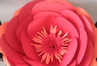 Nuova Era: il mio blog su. Reteluna Lucca